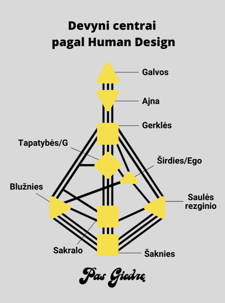 Human Design asmeninė sesija ir keturi žmonių tipai | Pas Giedrę