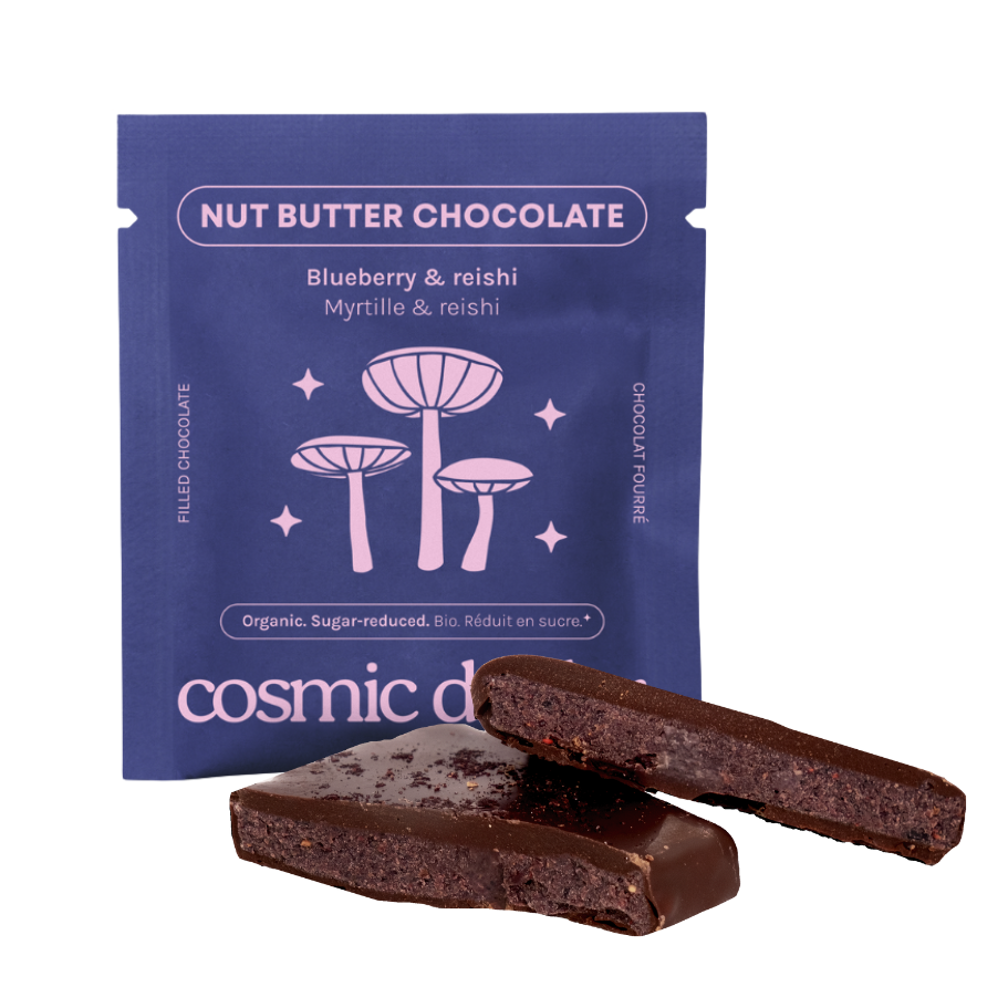 Riešutų pastos šokoladas Blueberry & Reishi 20 g