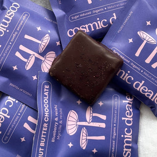 Riešutų pastos šokoladas Blueberry & Reishi 20 g