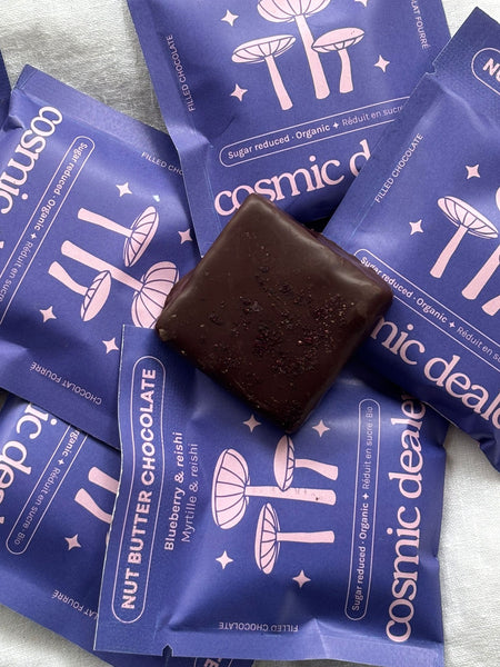 Riešutų pastos šokoladas Blueberry & Reishi 20 g