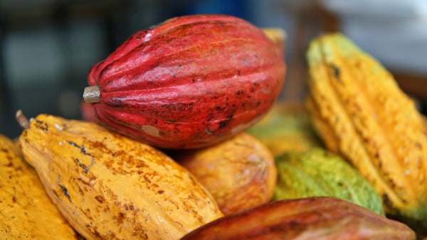 Kakavos masė Qori Inti iš Cusco (Peru) 250 g