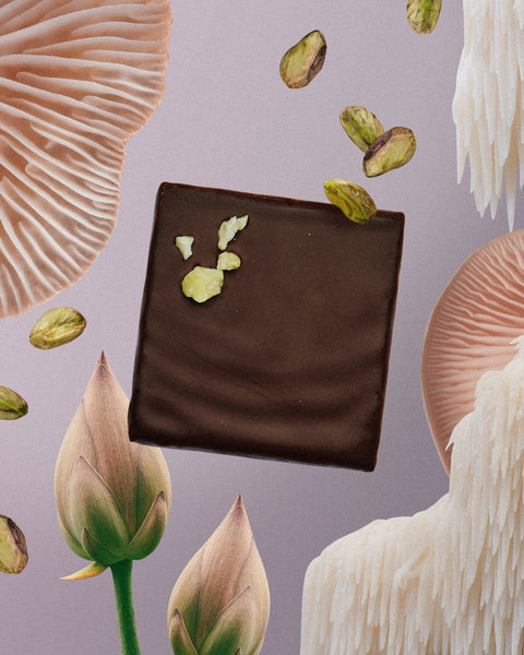 Riešutų pastos šokoladas Pistachio & Lion's Mane (dėžutė 4x20 g)