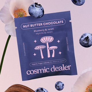 Riešutų pastos šokoladas Blueberry & Reishi 20 g