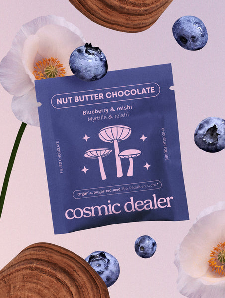 Riešutų pastos šokoladas Blueberry & Reishi 20 g