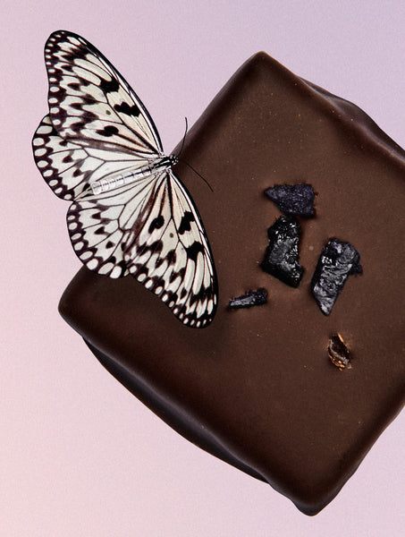 Riešutų pastos šokoladas Blueberry & Reishi 20 g